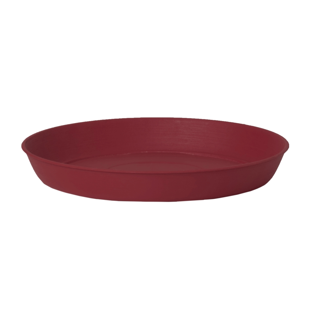 SOUCOUPE JOY 19 CM